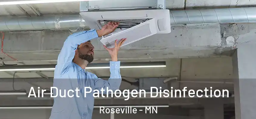  Air Duct Pathogen Disinfection Roseville - MN