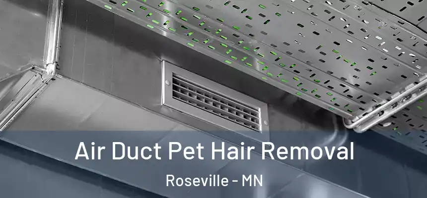 Air Duct Pet Hair Removal Roseville - MN