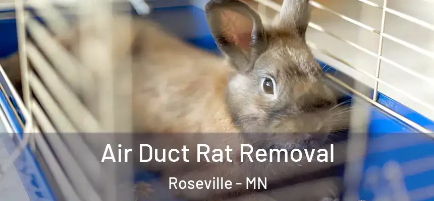  Air Duct Rat Removal Roseville - MN