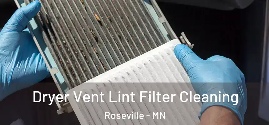 Dryer Vent Lint Filter Cleaning Roseville - MN