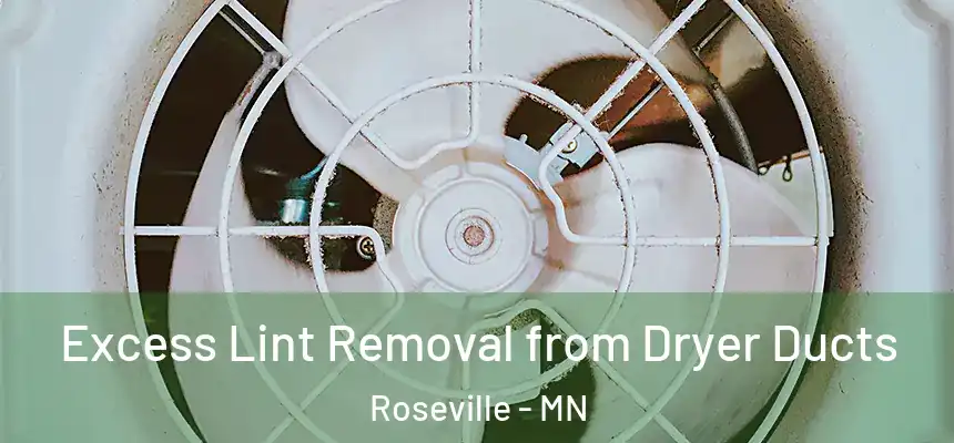  Excess Lint Removal from Dryer Ducts Roseville - MN