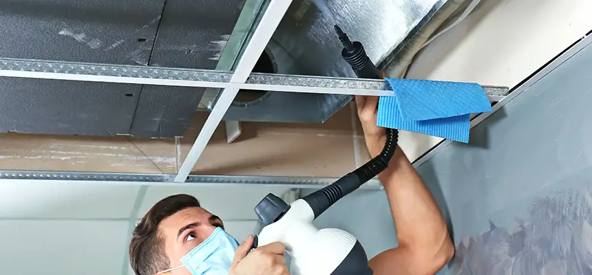 Our Air Duct Rodent Removal Services in Roseville, MN