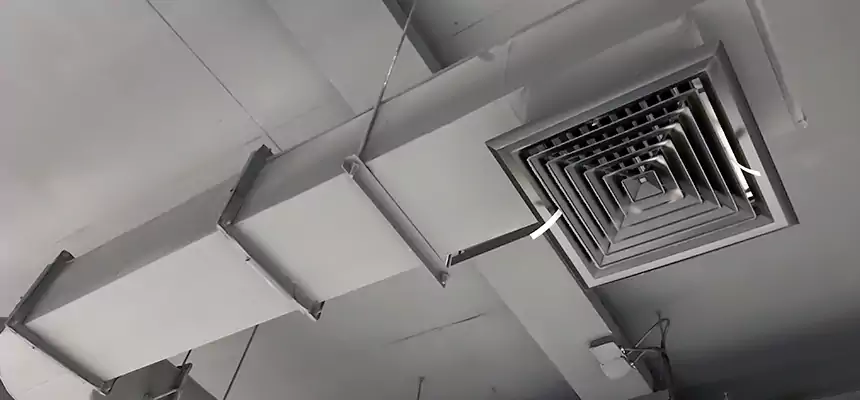 Our Pest Removal From Ducts Services in Roseville, MN