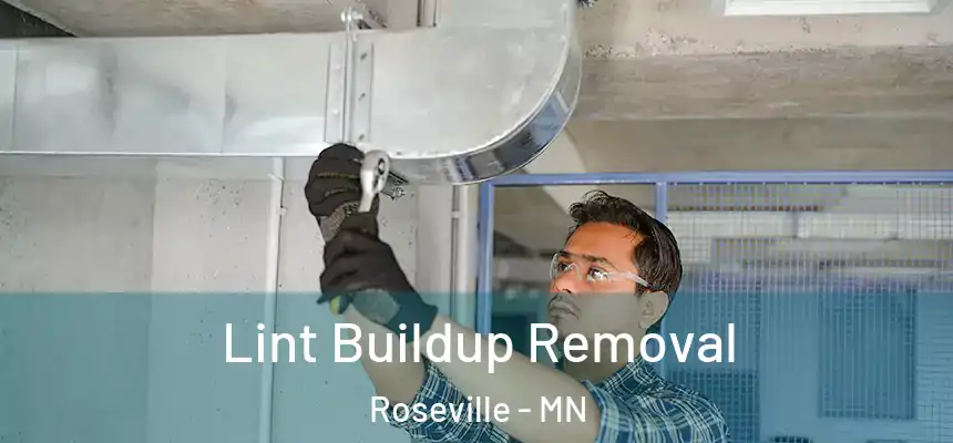 Lint Buildup Removal Roseville - MN
