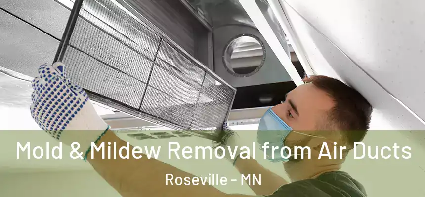  Mold & Mildew Removal from Air Ducts Roseville - MN
