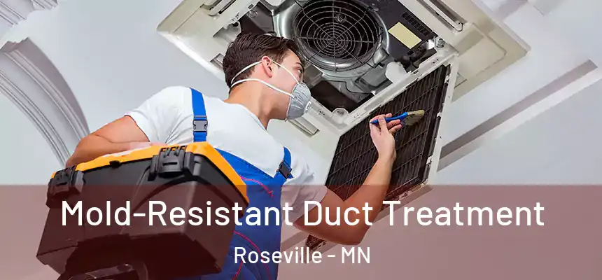  Mold-Resistant Duct Treatment Roseville - MN