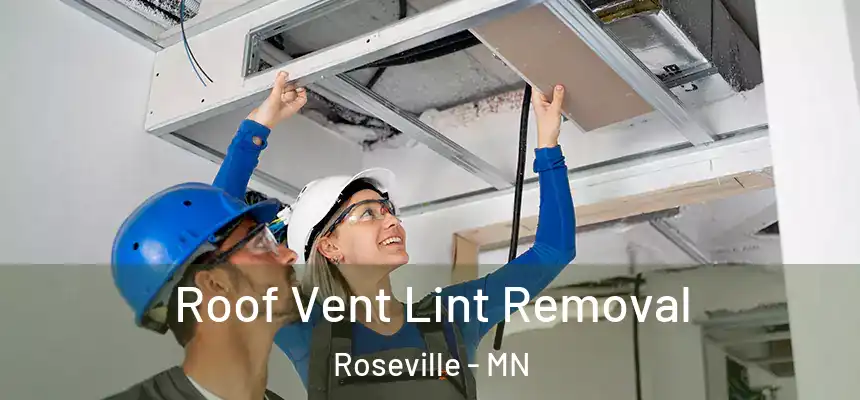 Roof Vent Lint Removal Roseville - MN