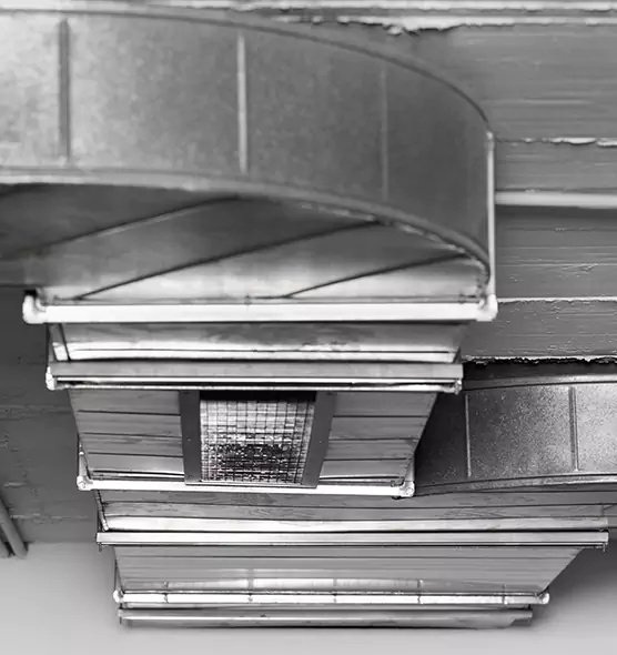 Professional Air Duct Pet Hair Removal in Roseville, MN