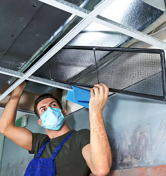 Professional Air Duct Pollen Cleaning in Roseville, MN