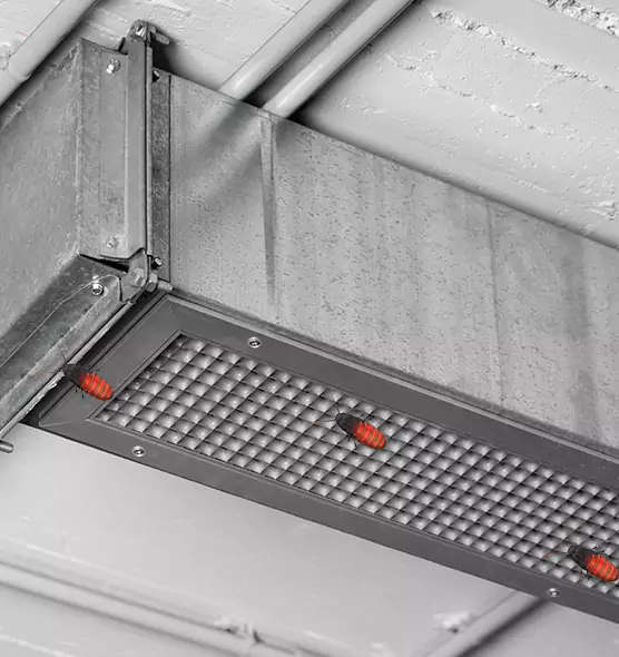 Affordable Insect Removal from Air Ducts in Roseville, MN